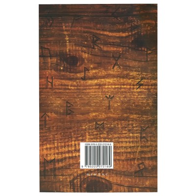 Практическая рунология: 90 рунических раскладов, В.В. Молохов